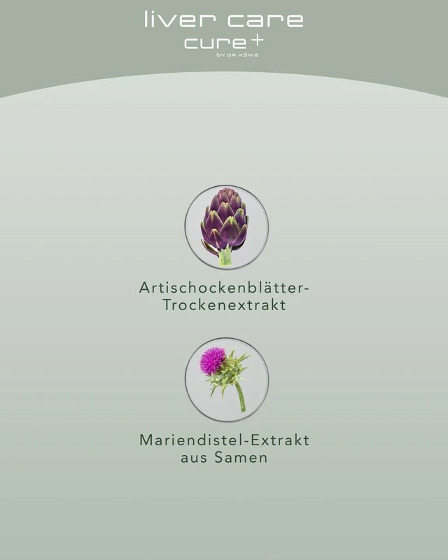 Liver Care 60 Kps. 4 Liver Care 60 Kps. – Bild 2