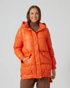 Steppjacke Mit Kapuze 11 Steppjacke Mit Kapuze -Heim- Und Modegeschäft 59844563 32e1d1f4 2096 11ee 8f6f 5a72d431453d pics640