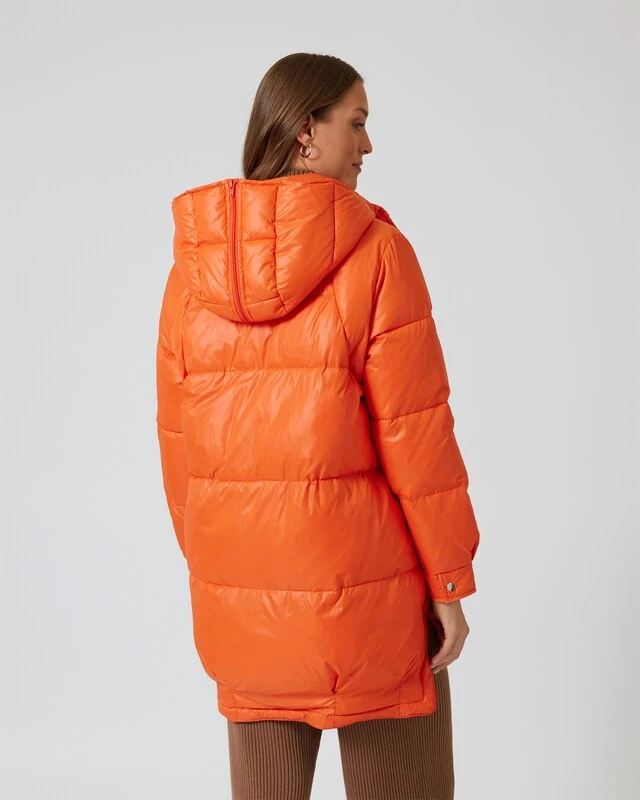 Steppjacke Mit Kapuze 4 Steppjacke Mit Kapuze – Bild 2