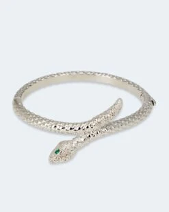 Armreif "Schlange" -Heim- Und Modegeschäft 59849785 f65b7f1d 2602 11ee 8f6f 5a72d431453d pics640