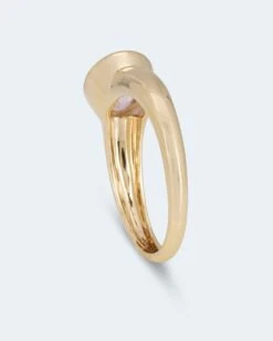 Ring Mit Kunzit -Heim- Und Modegeschäft 59889578 4678f5f1 4c9e 11ee 8f6f 5a72d431453d pics640