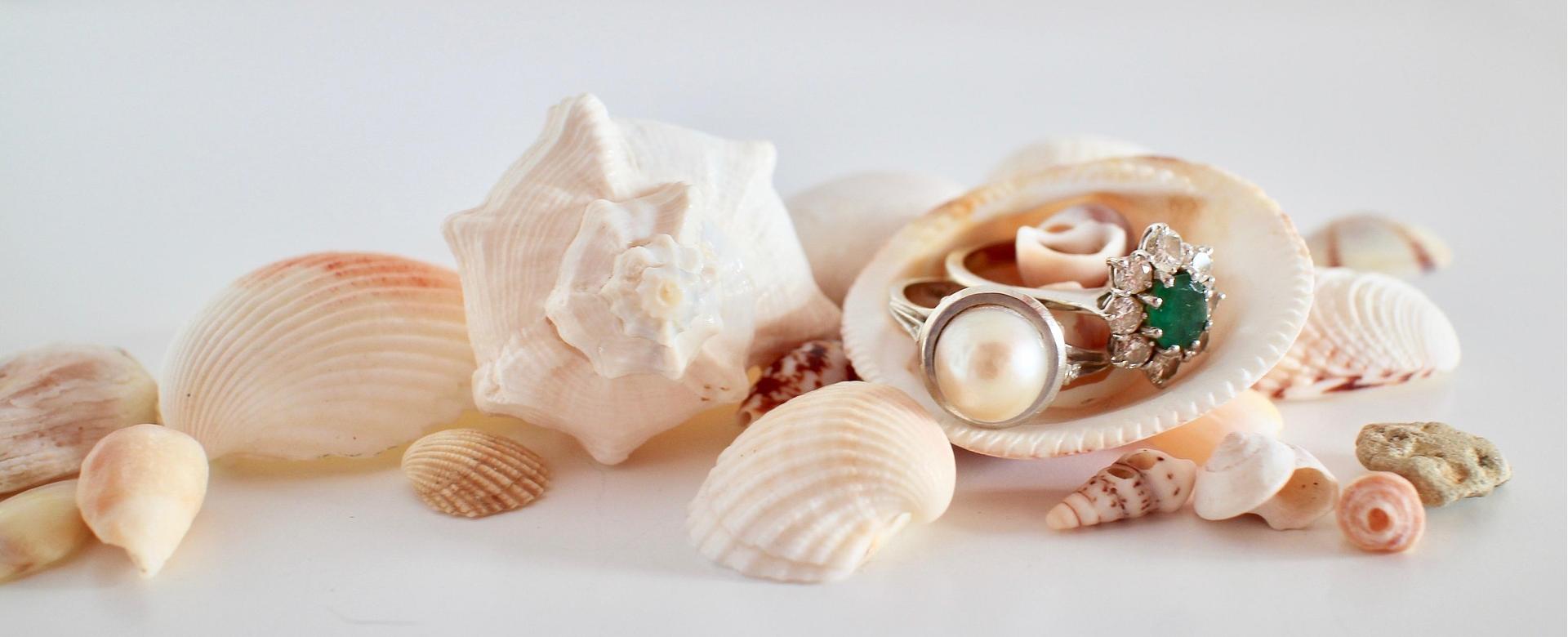 Heim- Und Modegeschäft -Heim- Und Modegeschäft rings 2007678 1920